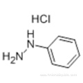 Phenylhydrazine hydrochloride CAS 59-88-1